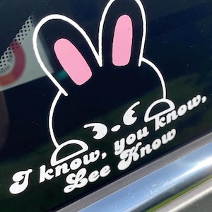 Stray Kids Leebit peek decal