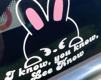 Stray Kids Leebit peek decal