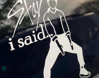 Stray Kids STAY pose decal