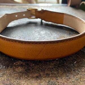 REDUCED* Sunset yellow leather raised Dog Collar size 17”-20”
