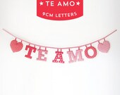 Handmade 'TE AMO' Fabric Garland