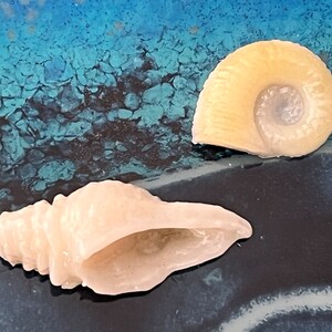 Fused Glass Undersea Creatures and Shells - Craft Use - Mixed or Single ...