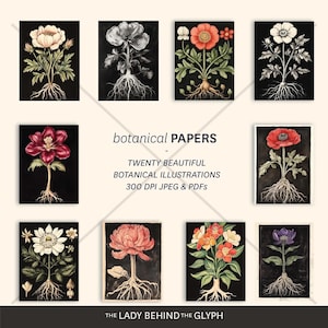 Papiers d'illustration botanique | Journal indésirable | Album| cartes de correspondance | Décoration | Carte postale | fond noir | botaniques | Image clipart fleur