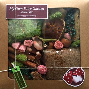 Mein Own Fairy Garden - Starterkit