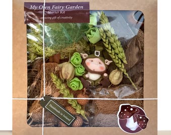 My Own Fairy Garden - starter kit