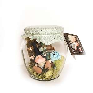 Magical Fairy Wish Jar