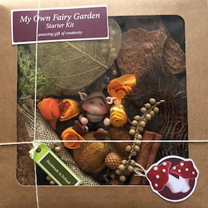 Mein Own Fairy Garden - Starterkit