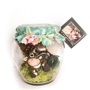 Magical Fairy Wish Jar