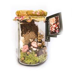 Magical Fairy Wish Jar