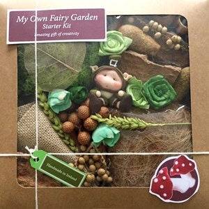 Mein Own Fairy Garden - Starterkit