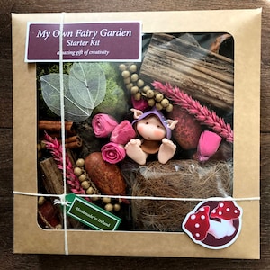 Mein Own Fairy Garden - Starterkit