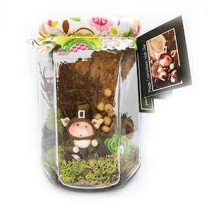 Magical Fairy Wish Jar