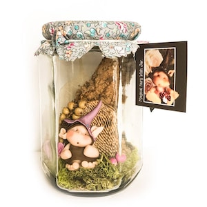 Magical Fairy Wish Jar