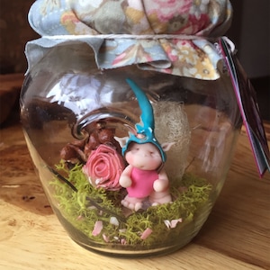 Magical Fairy Wish Jar