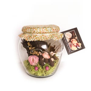 Magical Fairy Wish Jar