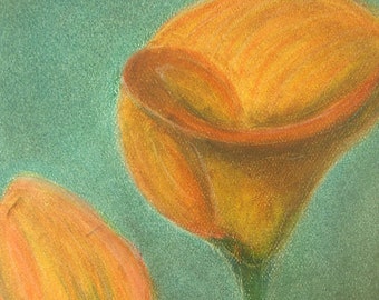 Calla Lily 2 - pastel painting