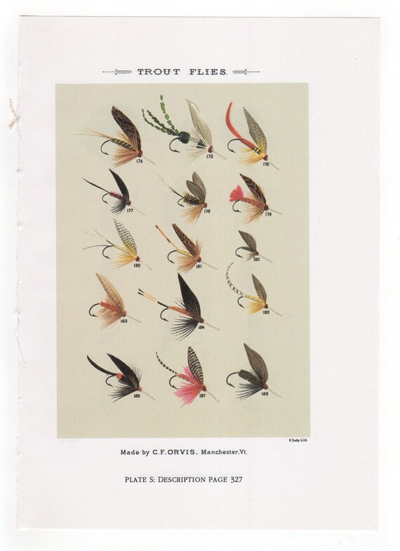 Vintage Fly Fishing Flies Print Trout Flies Print Bookplate by