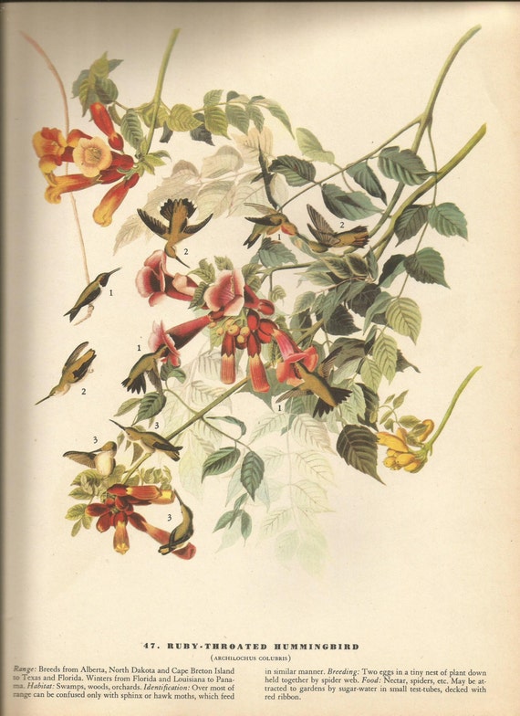 vintage an・an no.47 vintage an・an no.47