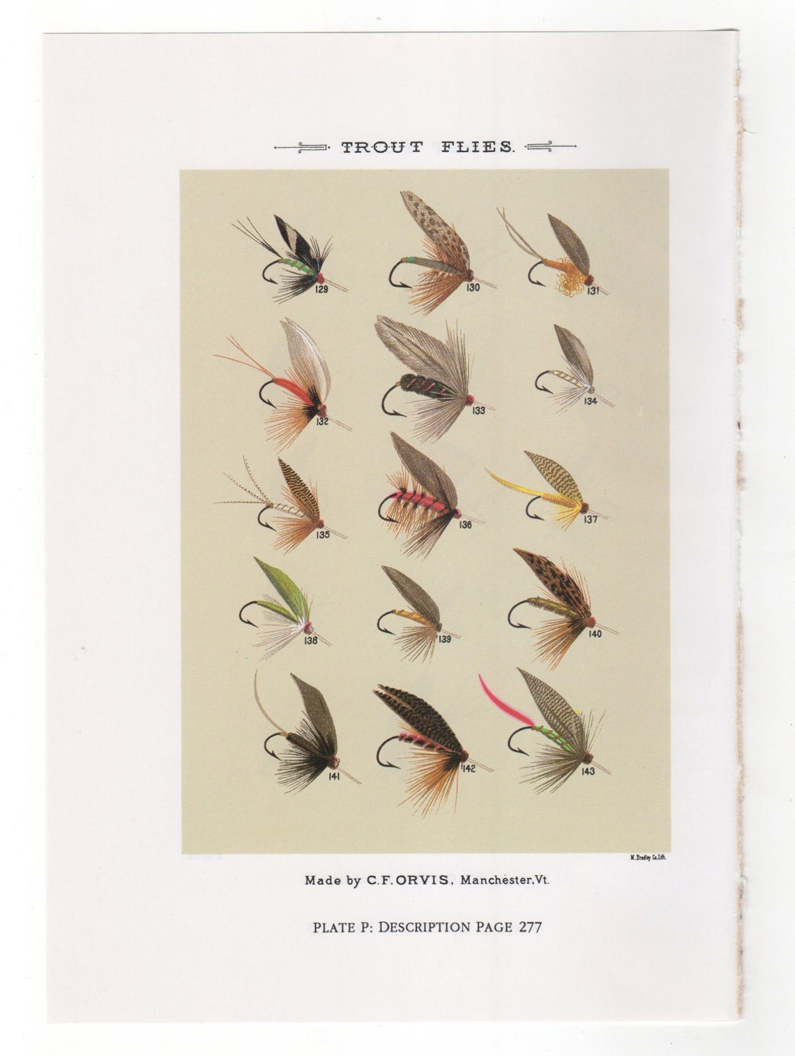 Vintage Fly Fishing Flies Print Trout Flies Print Bookplate by - Etsy