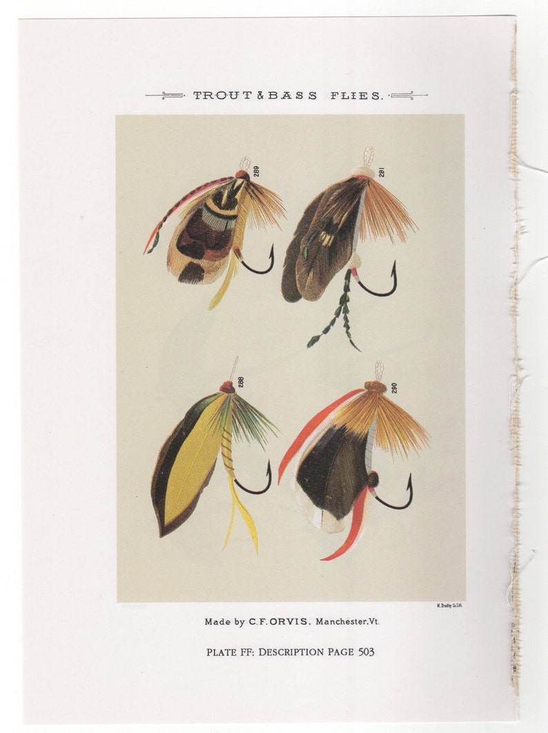 Vintage Fly Fishing Flies Print Bass/trout Flies Print Etsy