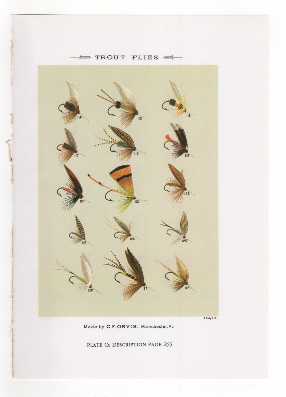 Vintage Fly Fishing Flies Print Trout Flies Print Bookplate by Etsy
