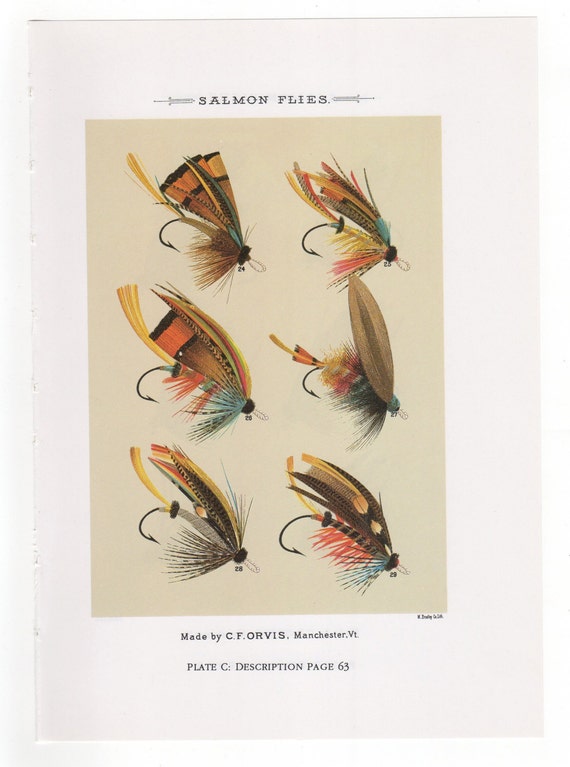 Vintage Fly Fishing Flies Print Salmon Flies Print Bookplate by