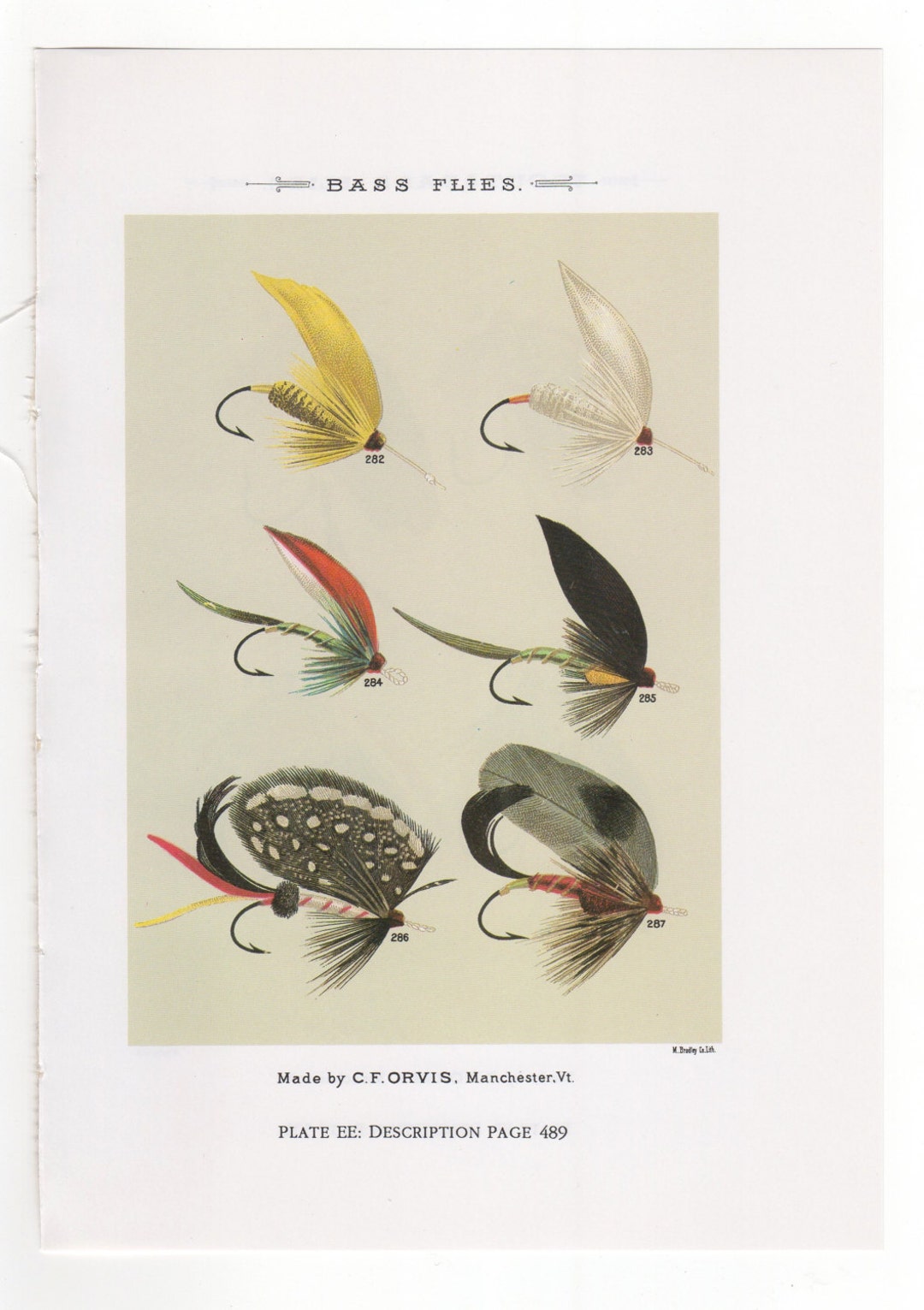 Vintage Fly Fishing Flies Print Bass/trout Flies Print Bookplate by