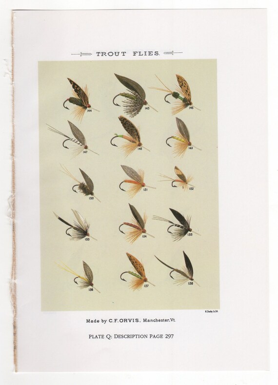 Vintage Fly Fishing Flies Print Trout Flies Bookplate by Mary Orvis Marbury  Fishing Wall Art Home Decor Cabin Plates Q and R -  Canada