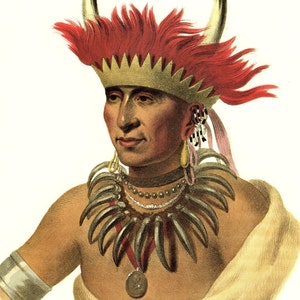 May include: A portrait of a Native American man wearing a red feathered headdress with horns, a necklace of teeth, and a medal. He is wearing a white fur garment.