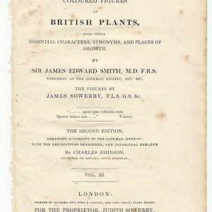 Antique Original 1844 James Sowerby Botanical Print Plate Bookplate English Botany Lichens Parmelia cycloselis 1942 afbeelding 5