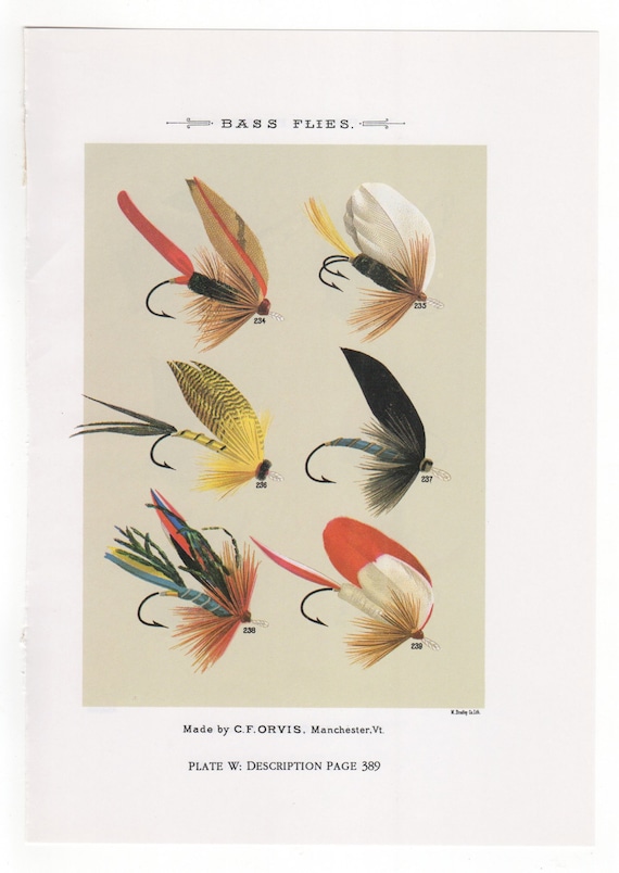 Vintage Fly Fishing Flies Print Bass Flies Print Bookplate by Mary