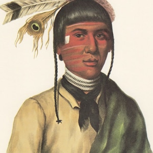 No-tin, A Chippewa Chief Vintage Native American Indian