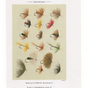 May include: A vintage illustration of 17 different types of fly fishing hackles. The hackles are arranged in rows and labeled with numbers 1 through 17. The image is titled "Hackles" and includes the text "Made by C.F. ORVIS. Manchester. Vt. PLATE A: DESCRIPTION PAGE 27".