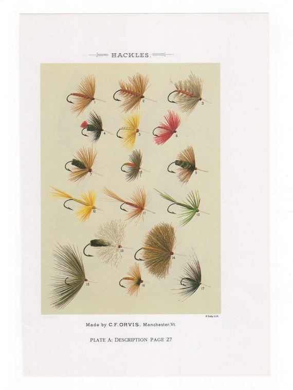 Vintage Fly Fishing Flies Print Hackles Salmon Flies Bookplate by Mary  Orvis Marbury Fishing Wall Art Home Decor Cabin Plates A and B 