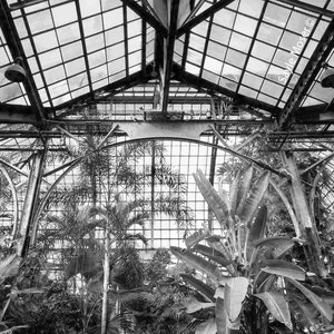 Lincoln Park Conservatory 2 Fine Art Photograph, Wall Art, Lincoln Park Zoo Photo, Architecture Image, Conservatory Gardens, Best of Chicago