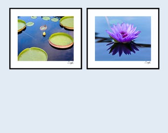 Lily Pond Diptych Photo Set, Fine Art Photography, Wall Art, Photography Gift, Set of Two, Lotus Flower Photo, Lily Pad Print, Water Lily