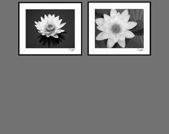 Lily Flower Diptych 3 Black and White Photo Set, Fine Art Photography, Wall Art, Set of Two, Lotus Flower Photo, Lily Pond Print, Water Lily