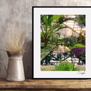 Garfield Park Conservatory Fine Art Photograph, Wall Art, Glass Greenhouse Image, Chicago Landmark, Fern Room, Palm House at Garfield Park