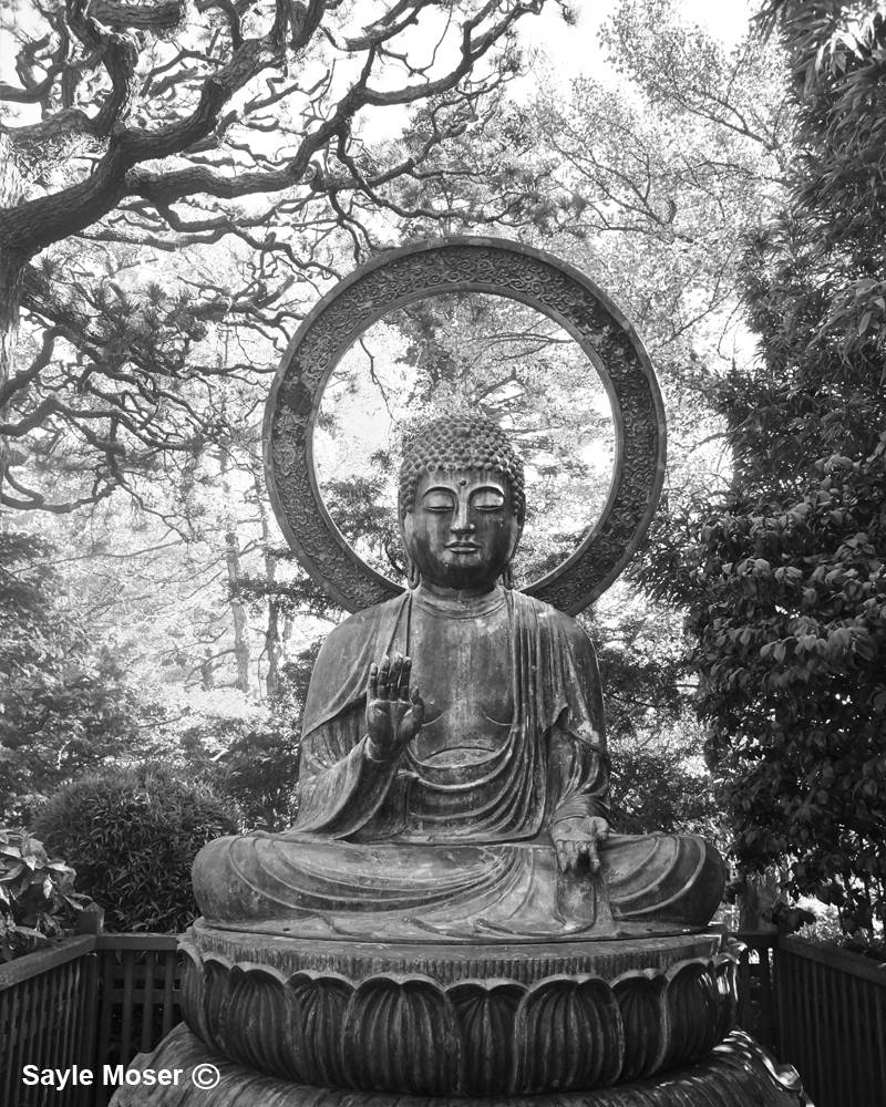 San Francisco Japanese Tea Garden Sitting Buddha Statue Fine