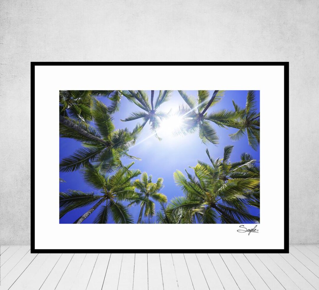 Hawaiian Palm Trees 3 Fine Art Photograph, Wall Art, Big Island Image ...