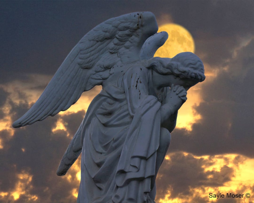 絵画。原画【A bear angel holds the moon】 絵画。原画【A bear angel holds the moon】 絵画。原画【A bear