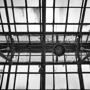 Lincoln Park Conservatory Ceiling Fine Art Photograph, Wall Art, Chicago Landscape Print, Lincoln Park Zoo, Glass Greenhouse, Photo Gift