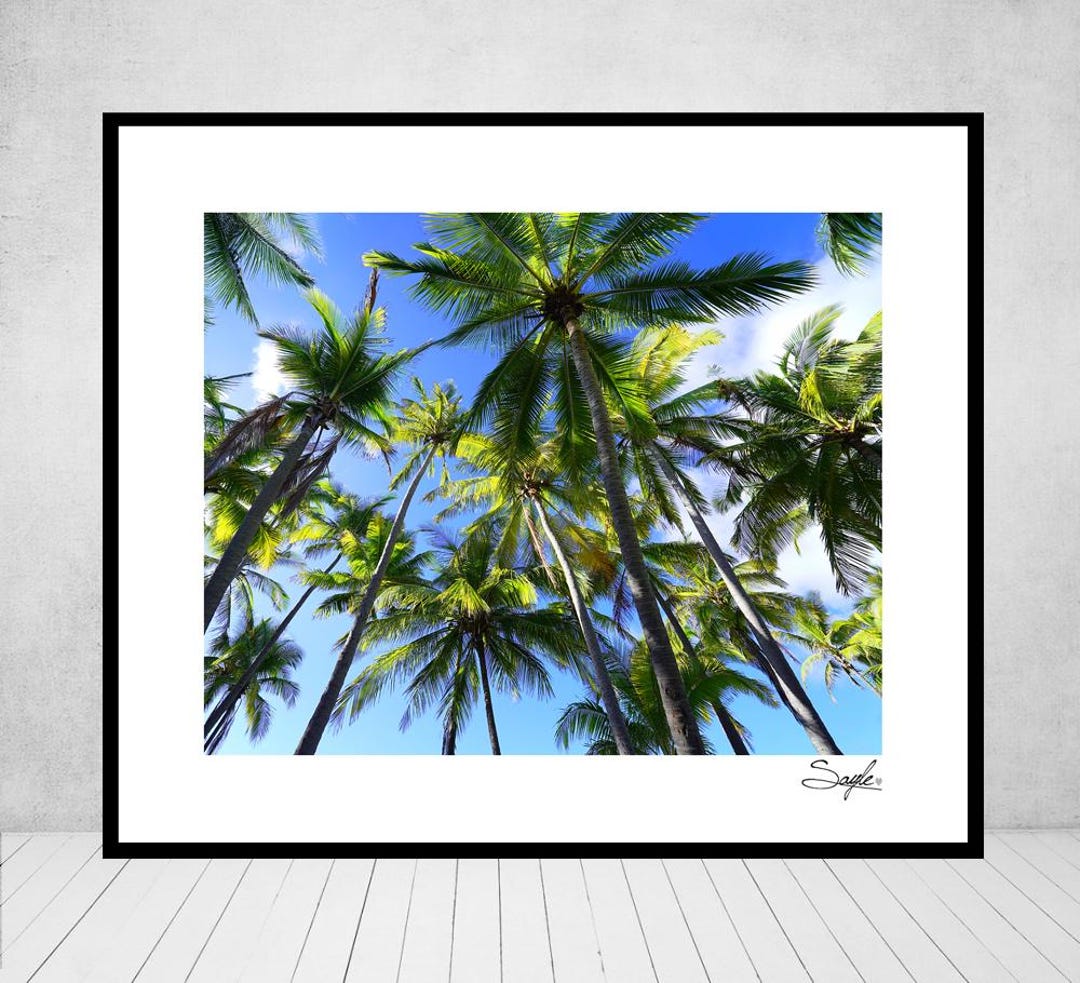 Hawaiian Palm Trees 6 Fine Art Photograph, Wall Art, Big Island Image ...