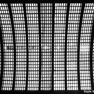 May include: Black and white photo of a curved ceiling with a grid pattern. The grid is made up of many small squares.