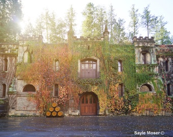 Chateau Montelena Winery Cellar Fine Art Photograph, Wall Art, Napa Valley Winery, Calistoga Winery, Wine Country Photo, Gift, Fall Photo