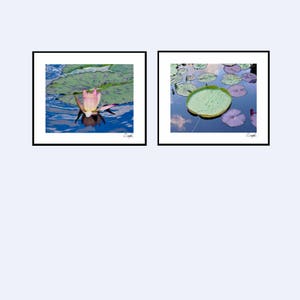 Lily Pond Diptych 4 Photo Set, Fine Art Photography, Wall Art, Photography Gift, Set of Two, Lotus Flower Photo, Lily Pad Print, Water Lily
