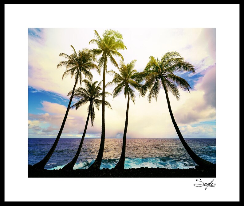Hawaiian Palm Trees 8 Fine Art Photograph, Wall Art, Big Island Coast ...