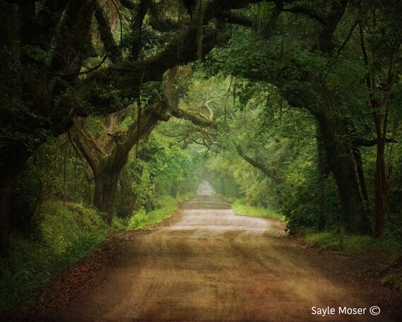 Botany Bay Plantation (nearby Kiawah Island)