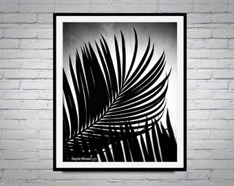 Palm Frond Black and White Fine Art Photograph, Wall Art, Nature Photography,  High Contrast Photo, Tropical Botanic Print, Plant Print