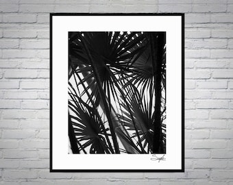 Fan Palm Black and White Fine Art Photograph, Wall Art, Nature Photography,  High Contrast Shadow Photo, Tropical Botanic Print, Plant Print